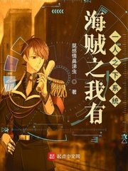 海賊之我有一人之下系統
