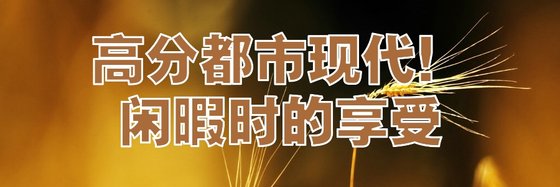 高分都市现代！闲暇时的享受
