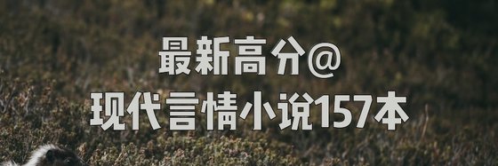 最新不@强推的现代言情小说157本